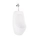 Писсуар подвесной Qtap Crow с краном-дозатором 390х330х660 White QT0588112HW SD00045970 фото 1