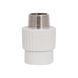 Муфта PPR Thermo Alliance 25х3/4" ЗР SD00029338 фото 2