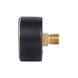 Манометр Thermo Alliance Standart 6 бар 1/4" , заднє підмикання SD1716B SD00021359 фото 7