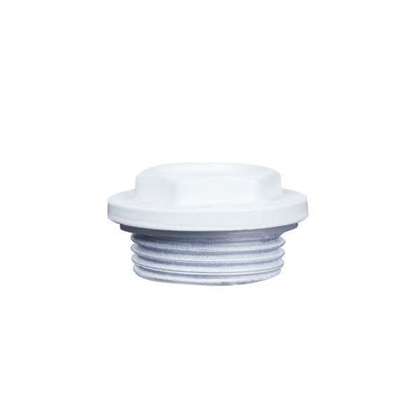 Заглушка радіаторна Thermo Alliance Standart 1" ліва SD11725S SD00004604 фото