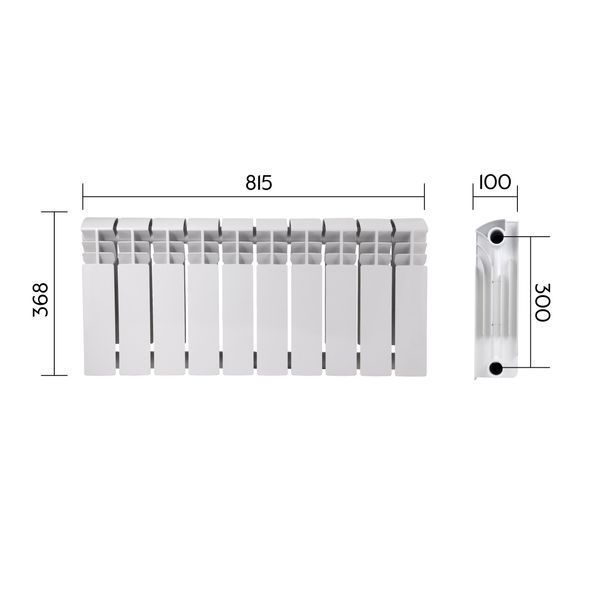 Радиатор биметаллический Thermo Alliance Bi-Ferrum 300/100 1,15 кг SD00052841 фото