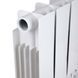 Радиатор биметаллический Thermo Alliance Bi-Ferrum 300/100 1,15 кг SD00052841 фото 6