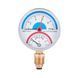 Термоманометр Thermo Alliance Standart 80 мм 1/2", нижнє підмикання SD17210B SD00021362 фото 1