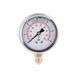 Манометр с глицерином Thermo Alliance Forte 6 бар, 1/4"Н, нижнее подключение TAF170G6B SD00053544 фото 5