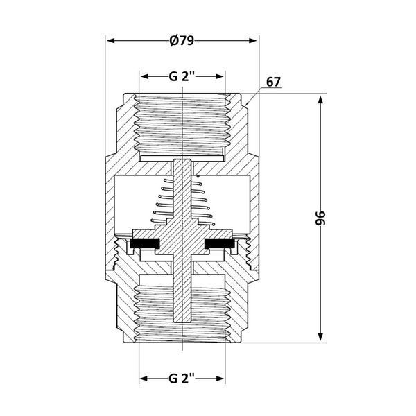 Зворотний клапан із латунним штоком Thermo Alliance Forte 2"ВВ нікель TAF240W50 SD00053356 фото