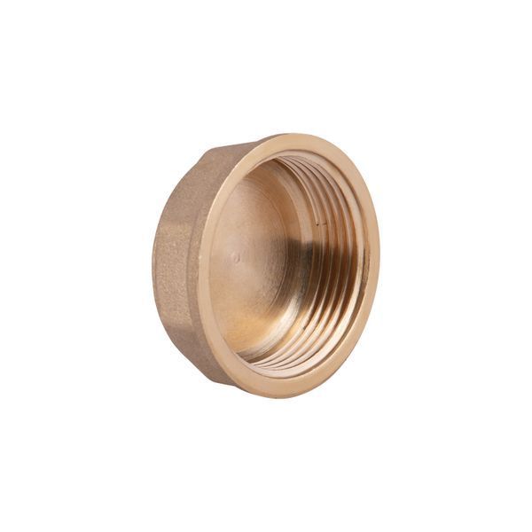 Заглушка Thermo Alliance Standart 1&nbsp;1/4" ВР SD40232 SD00047800 фото