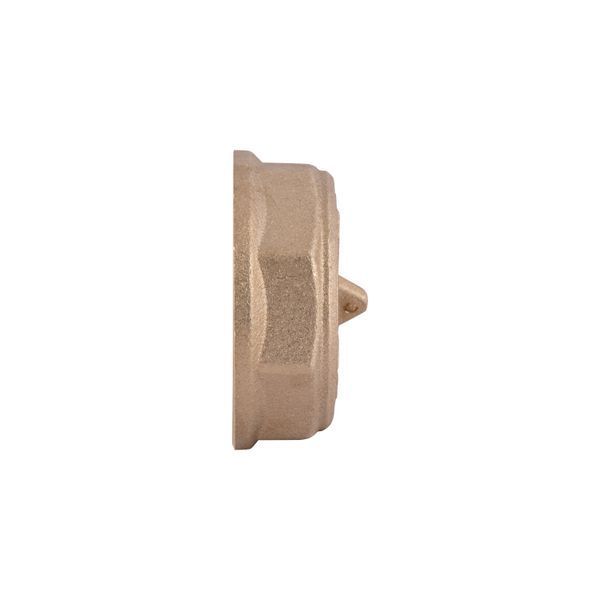 Заглушка Thermo Alliance Standart 1&nbsp;1/4" ВР SD40232 SD00047800 фото