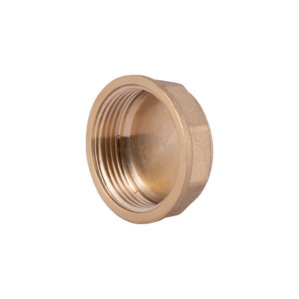 Заглушка Thermo Alliance Standart 1&nbsp;1/4" ВР SD40232 SD00047800 фото