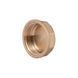 Заглушка Thermo Alliance Standart 1&nbsp;1/4" ВР SD40232 SD00047800 фото 3