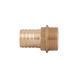 Штуцер Thermo Alliance Standart 8х1/2" ЗР SD427158 SD00047939 фото 2