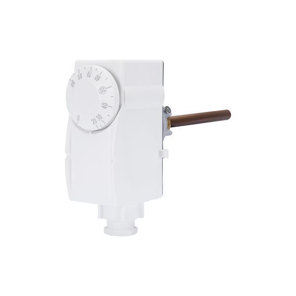 Термостат Thermo Alliance Standart погружний 1/2" SD348 SD00021416 фото