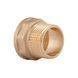 Перехідник Thermo Alliance Standart 3/4"х3/4" ВЗ SD4092020 SD00047839 фото 3