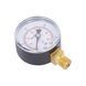 Манометр Thermo Alliance Standart 50 мм 1/4", нижнє підмикання SD1704B SD00006077 фото 6