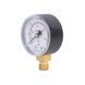 Манометр Thermo Alliance Standart 50 мм 1/4", нижнє підмикання SD1706B SD00006081 фото 5