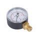Манометр Thermo Alliance Standart 50 мм 1/4", нижнє підмикання SD1706B SD00006081 фото 3