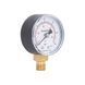 Манометр Thermo Alliance Standart 50 мм 1/4", нижнє підмикання SD1706B SD00006081 фото 2