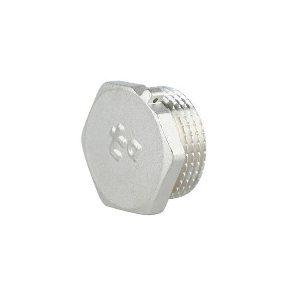 Заглушка Thermo Alliance Forte 1" ЗР SF35325 SD00002512 фото