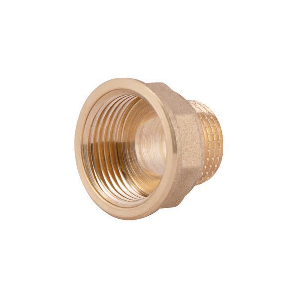 Перехідник Thermo Alliance Standart 3/4"х1/2" ВЗ SD4091520 SD00047841 фото