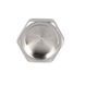 Заглушка Thermo Alliance Forte 1/2" ВР SF35215 SD00002513 фото 2