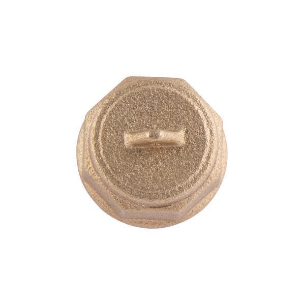 Заглушка Thermo Alliance Standart 1/2" ЗР SD40315 SD00047802 фото