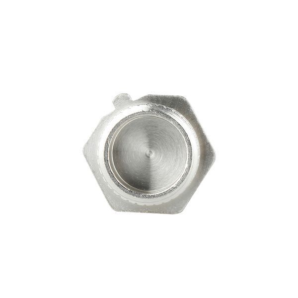 Заглушка Thermo Alliance Forte 1/2" ЗР SF35315 SD00002514 фото