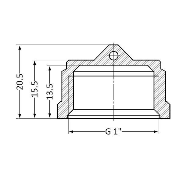 Заглушка Thermo Alliance Standart 1" ВР SD40225 SD00047799 фото