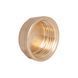 Заглушка Thermo Alliance Standart 1" ВР SD40225 SD00047799 фото 4