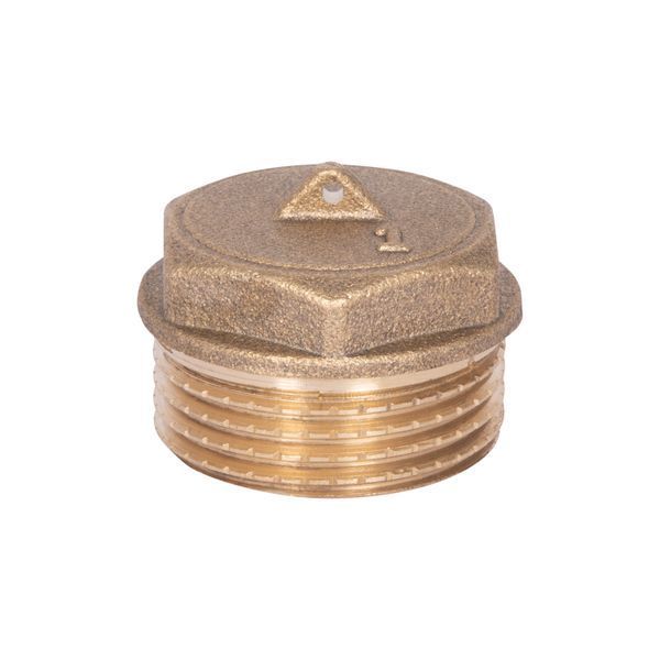 Заглушка Thermo Alliance Standart 1" ЗР SD40325 SD00047804 фото