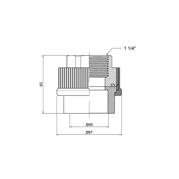 Муфта PPR Thermo Alliance 40х1" 1/4 ВР SD00029333 фото